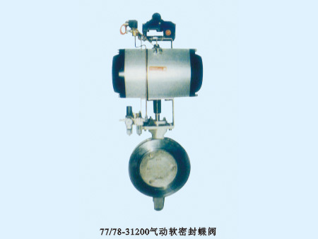 77/78-31200ܷ